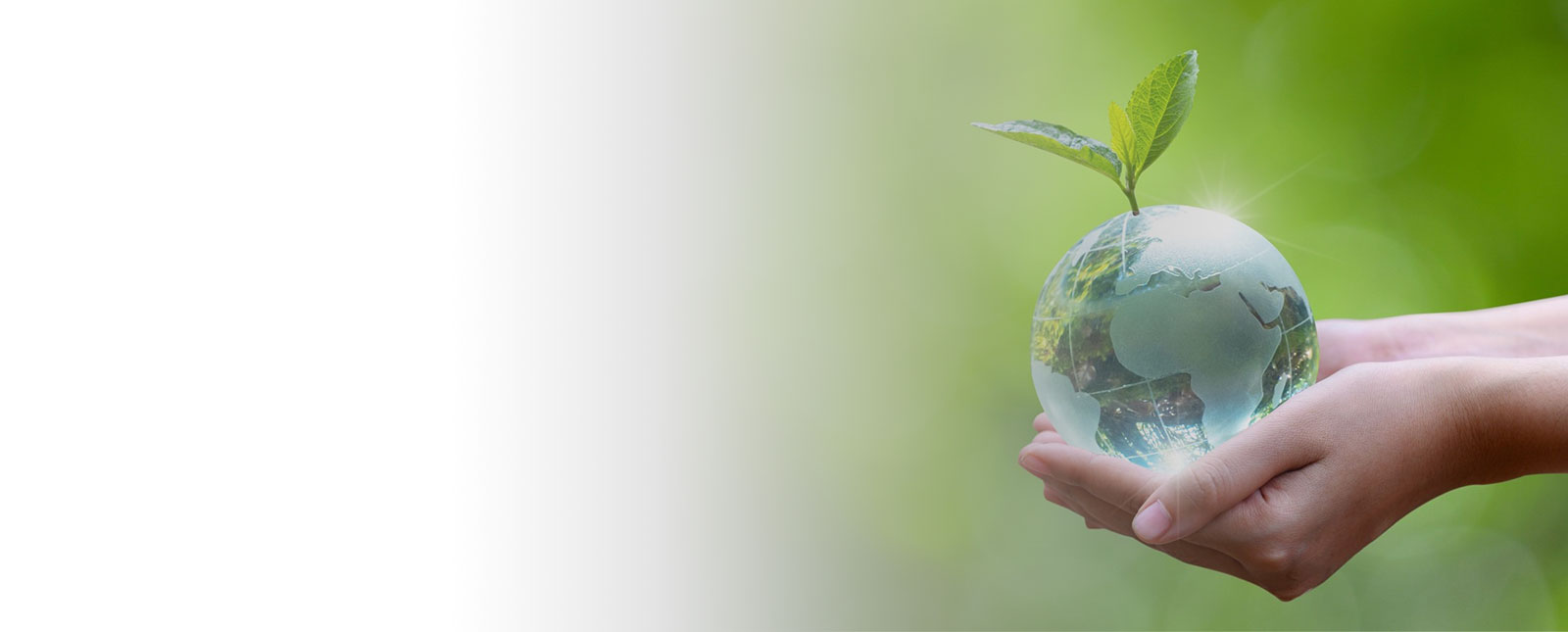 Rapport RSE Energie Mutuelle
